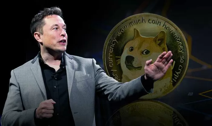 Bitcoin Alert: Elon Musk’s crypto meme started to make a profit, should we invest?
